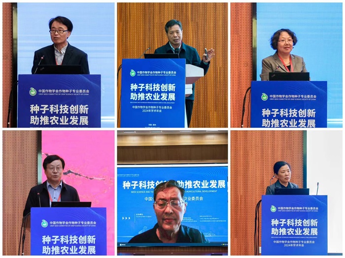百家乐网址