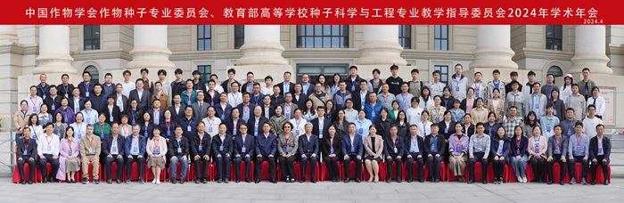 百家乐网址