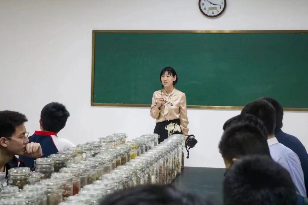 百家乐网址