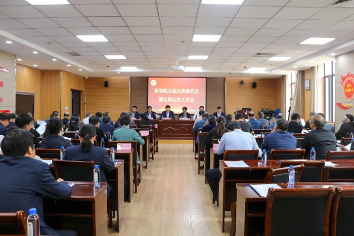 百家乐网址
