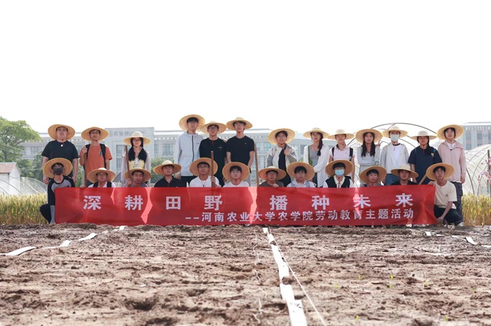 百家乐网址