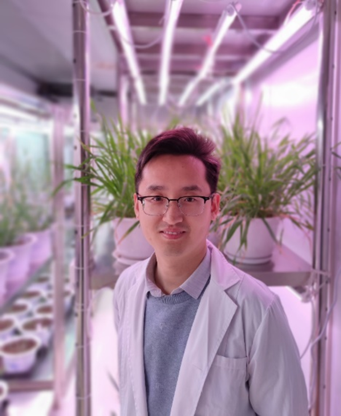 百家乐网址