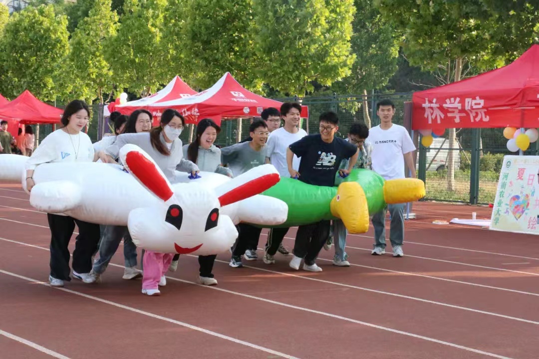 百家乐网址