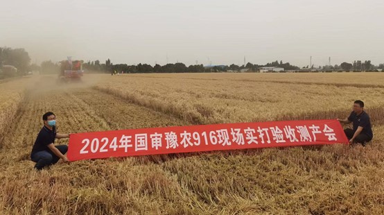 百家乐网址
