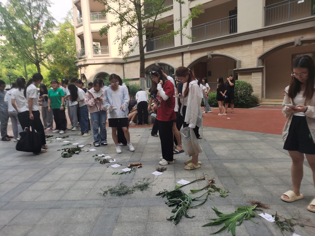 百家乐网址