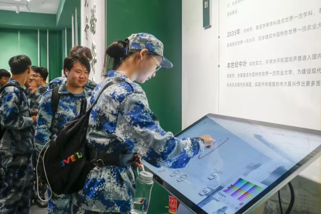 百家乐网址