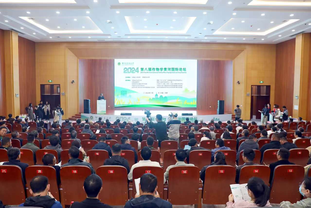 百家乐网址