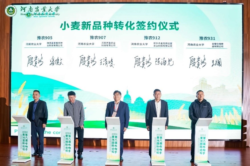 百家乐网址