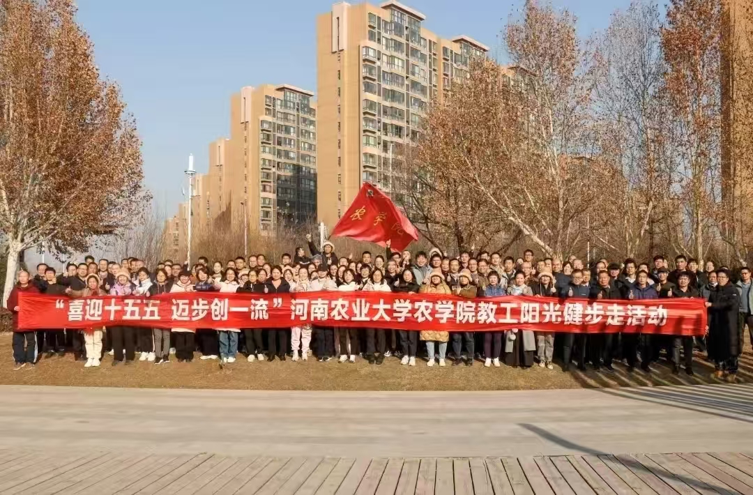 百家乐网址