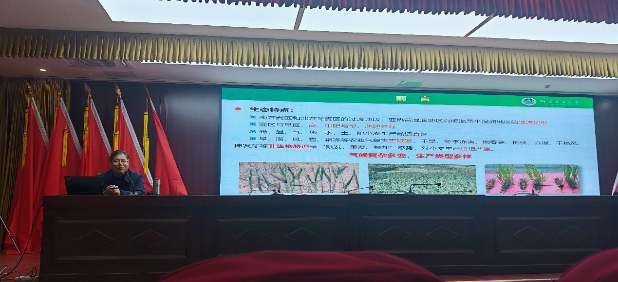 百家乐网址