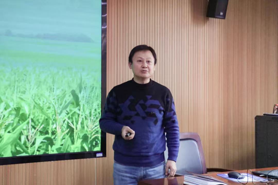 百家乐网址
