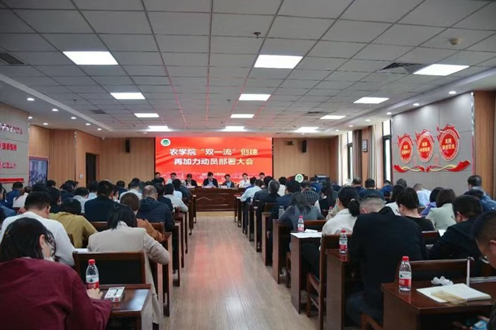 百家乐网址