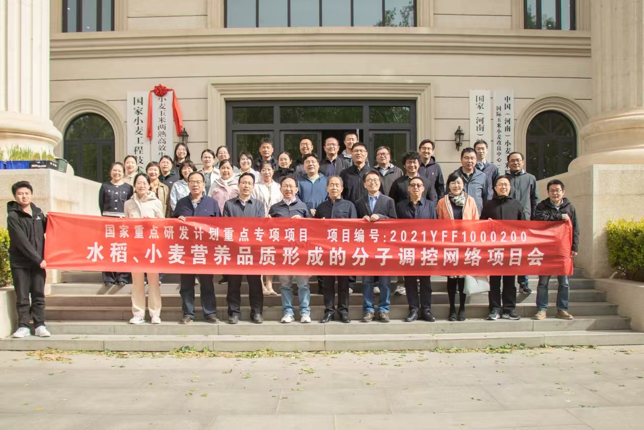 百家乐网址