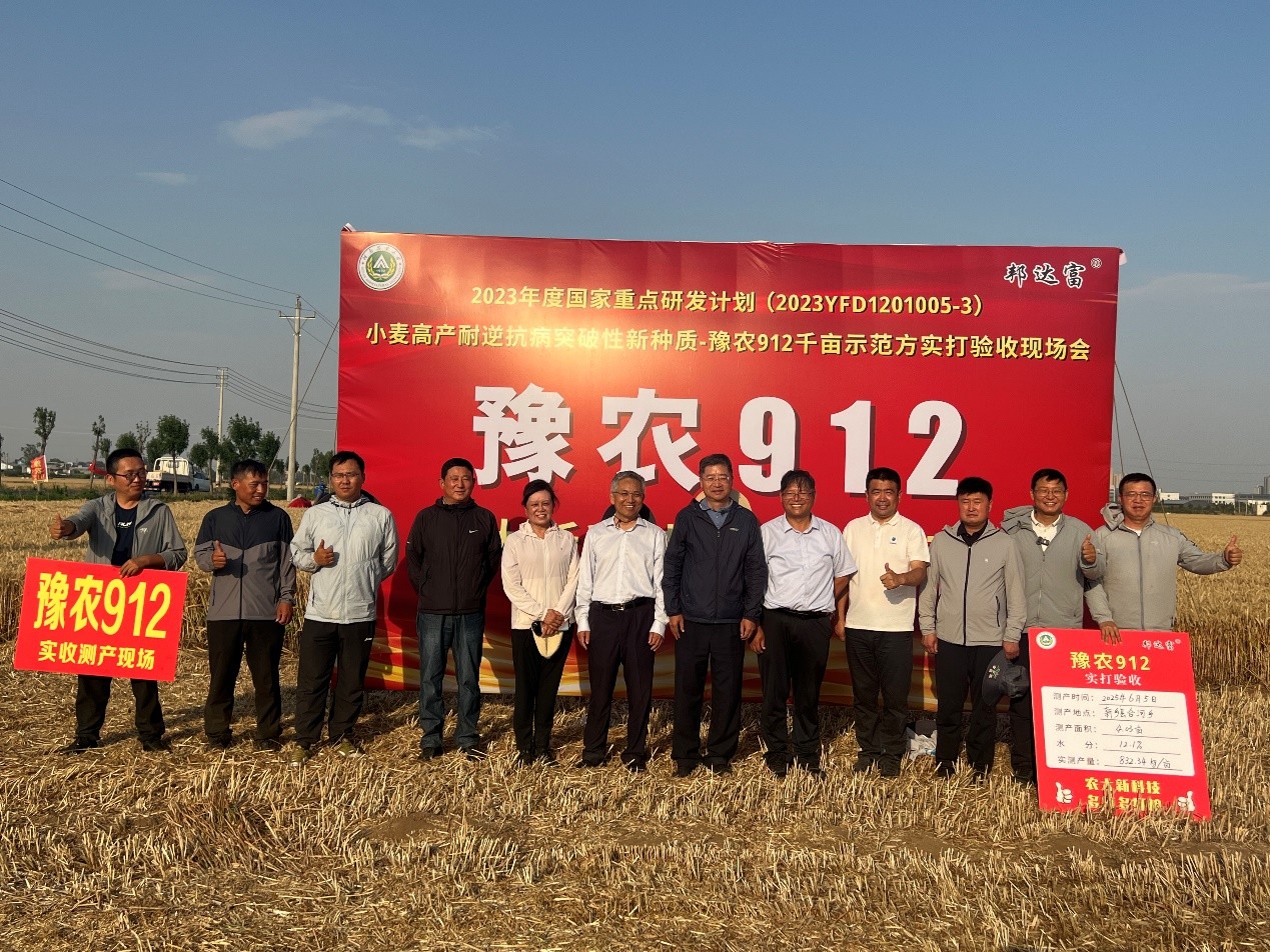 百家乐网址