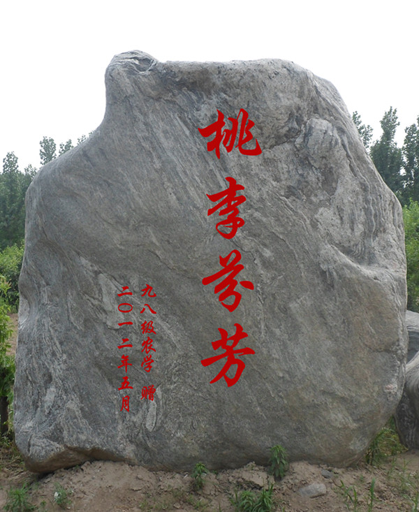百家乐网址