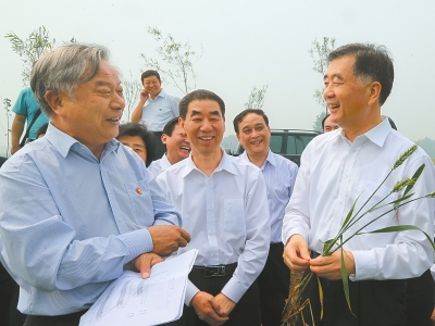 百家乐网址