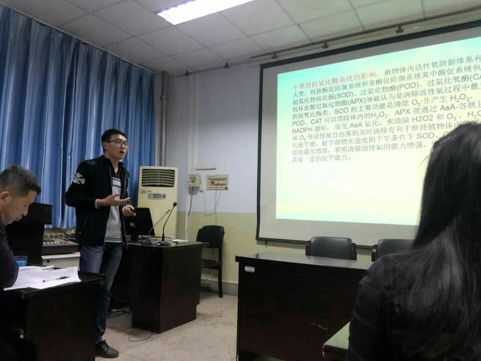 百家乐网址