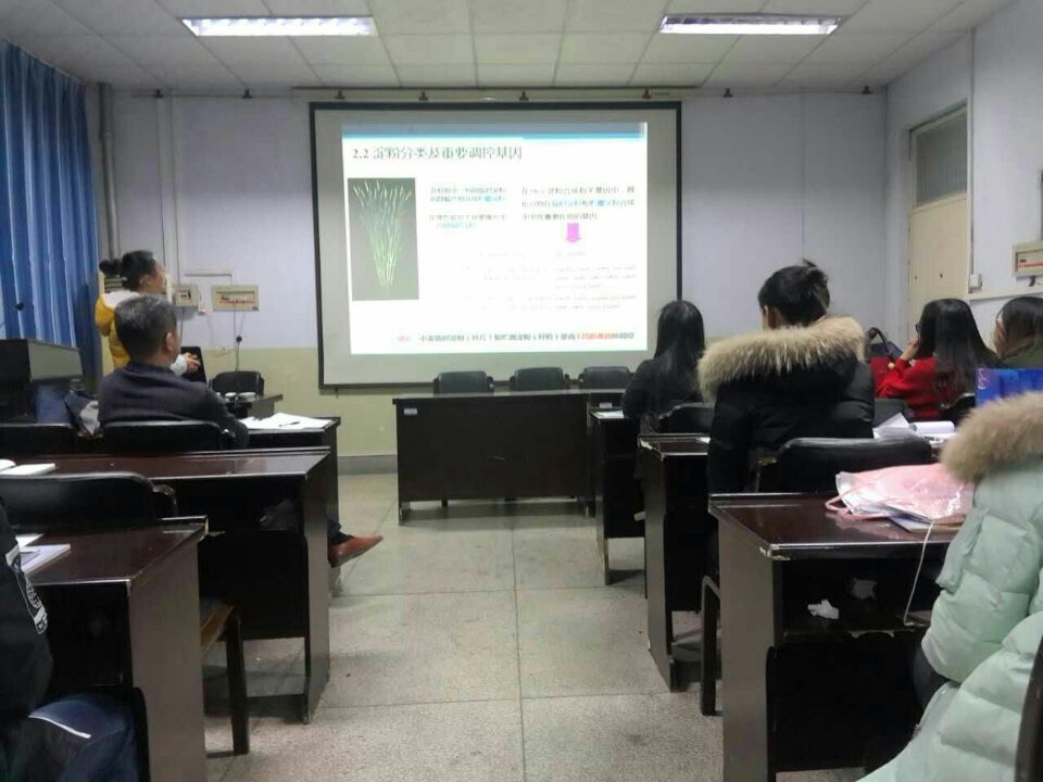 百家乐网址