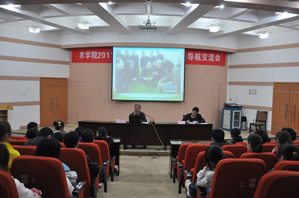 百家乐网址